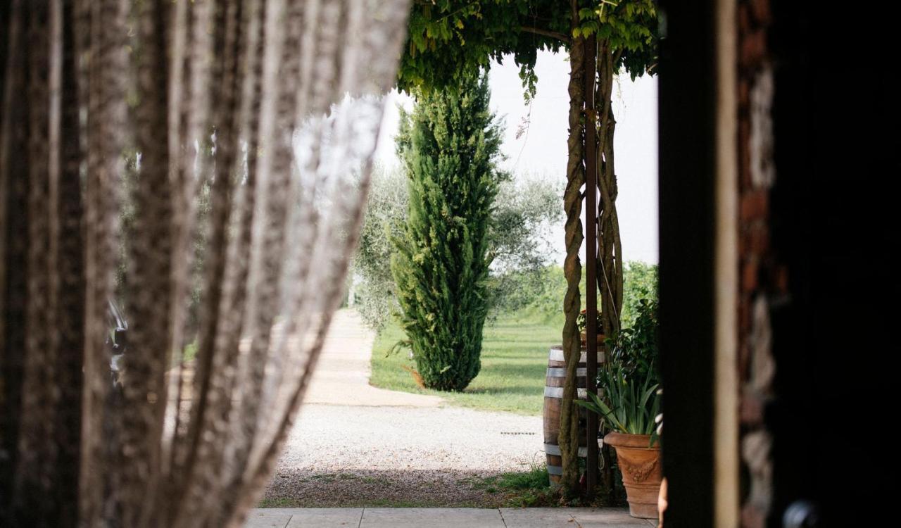 圣皮得因卡日Dimora Buglioni Wine Relais别墅 外观 照片